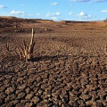 Governo deve anunciar hoje medidas de prevenção à seca