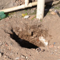 Presos cavam buraco e fogem da 2ª DRP em Santana do Ipanema