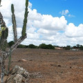 Semarh disponibiliza ferramenta para monitorar a seca em Alagoas