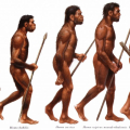 Blog do Clerisvaldo: Novo estudo mostra competição entre Neandertais e o Homo Sapiens