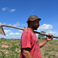 Agricultores de Belo Monte têm registro de lotes em assentamento