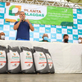 Planta Alagoas: 50 mil alagoanos comemoram início da safra
