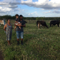 Assistência possibilita que família invista no pastoreio rotativo no Sertão