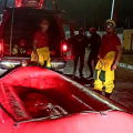Chuvas em Alagoas: Bombeiros resgatam mais de 100 pessoas em área de risco