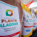 Inscrição para o Planta Alagoas 2024 é prorrogada até 15 de março