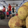 Feira do Crédito Fundiário fortalece comercialização de agricultores no Sertão