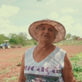 Santana: Programa de Aração de Terras mantém apoio aos pequenos agricultores