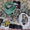 Polícia Civil prende três traficantes e apreende mais de 14 quilos de maconha