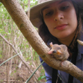 Pequenos mamíferos da Caatinga serão afetados por mudanças climáticas, diz pesquisa