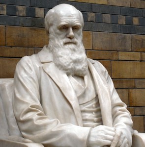 Estátua de Darwin no Museu de História Natural de Londres (Foto: Patche99z / Wikipédia)