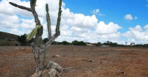 Mecanismo criado pela Semarh tem a função de apresentar ao alagoano a realidade da seca no Estado (foto: Divulgação)
